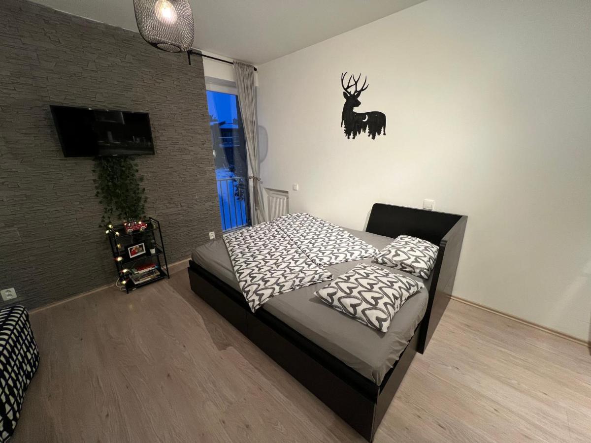 New Nelis Apartment Klinovec Loučná pod Klínovcem 외부 사진