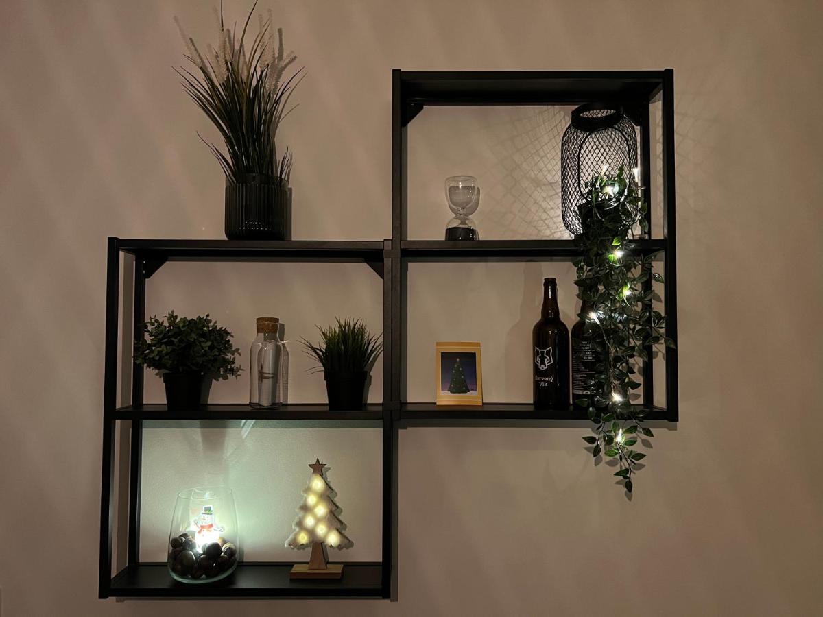 New Nelis Apartment Klinovec Loučná pod Klínovcem 외부 사진