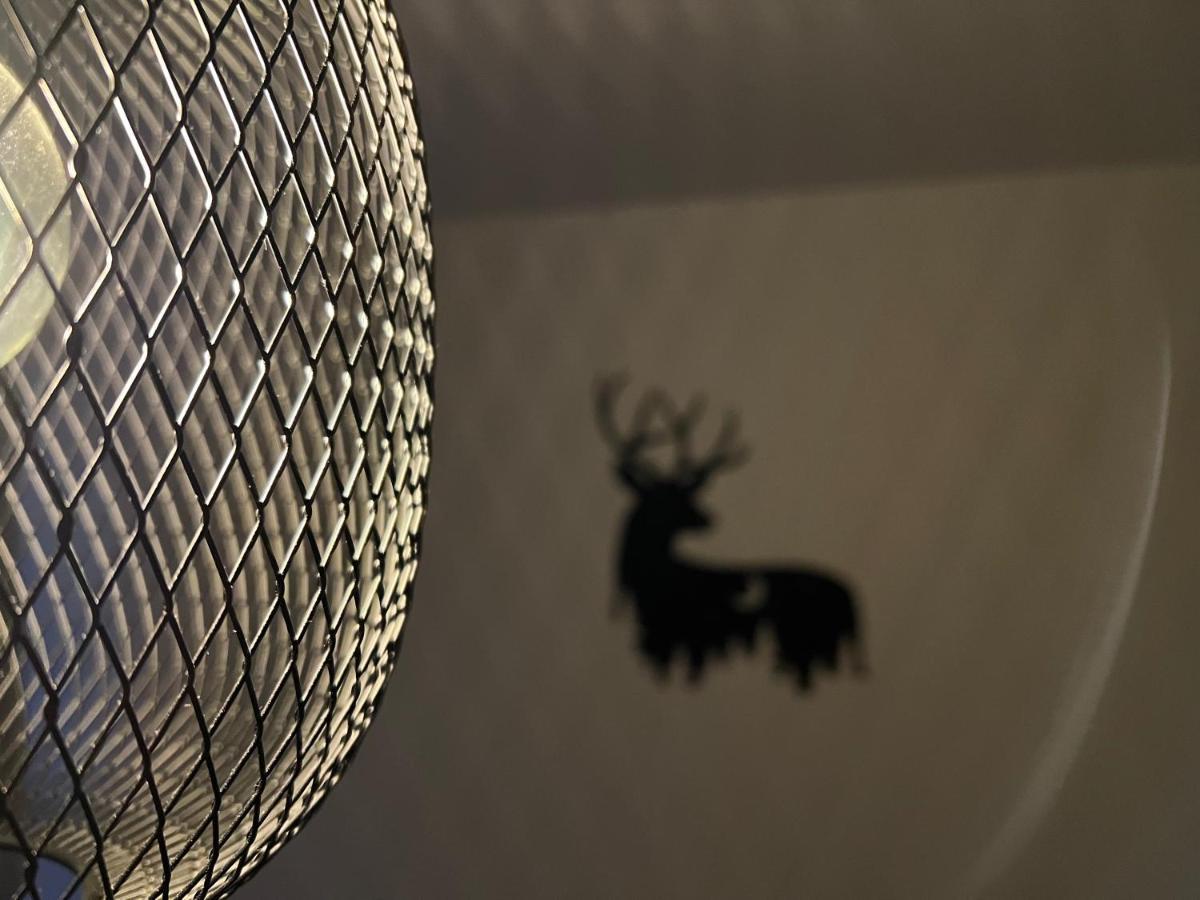 New Nelis Apartment Klinovec Loučná pod Klínovcem 외부 사진