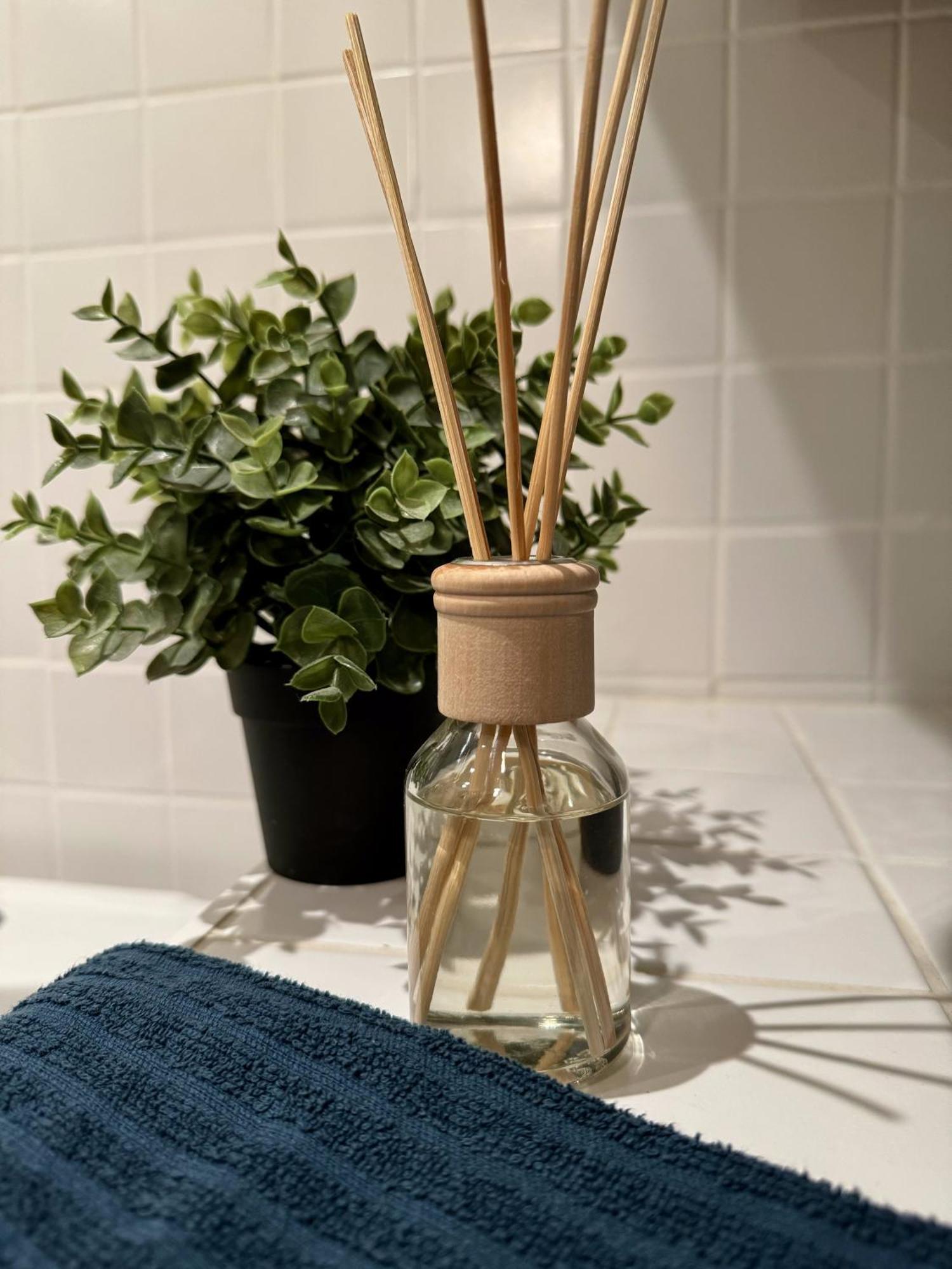 New Nelis Apartment Klinovec Loučná pod Klínovcem 외부 사진